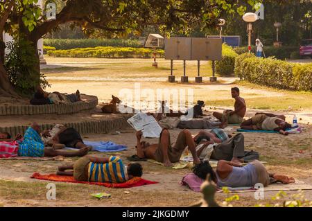 Homeless people and street dogs in Calcutta or Kolkata take shelter under a banyan tree to protect themselves from the sweltering summer sun and heat. Stock Photo