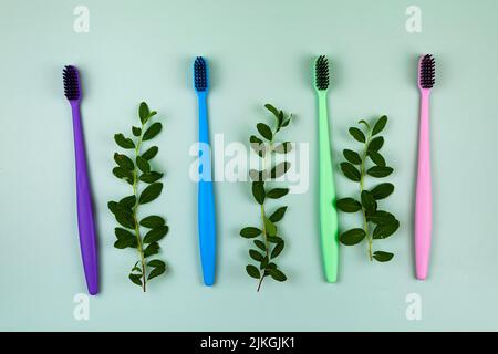 Multicolored toothbrushes and leaves on a green background. Concept of cosmetic products for dental care. Flat lay, top view, copy space Stock Photo