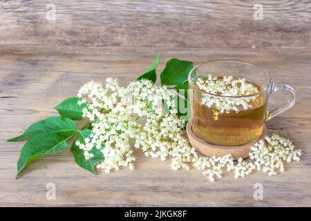 drink from elderberry flowers in a cup on a wooden background with a sprig of flowering elderberry close-up Stock Photo