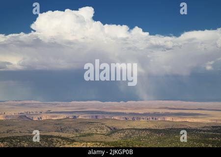 Storm over the Kaibab Plateau, Coconino County, Arizona, United States. Stock Photo