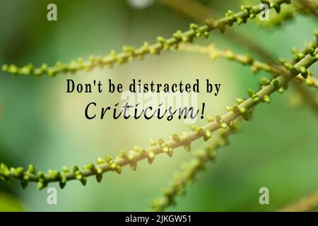 Motivational quote with fresh nature and blurred green leaf background - Do not be distracted by criticism. Stock Photo