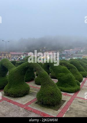 A vertical shot of topiary arches in Parque Francisco Alvarado in Zarcero, Costa Rica Stock Photo