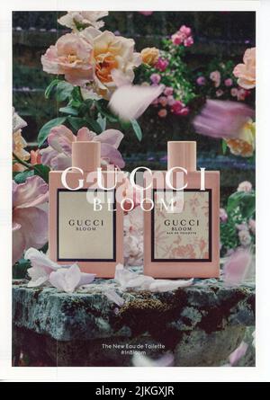 Gucci Bloom Promo Advertising Plastic Poster 22x 28 BLOOM Perfume  Fragrance
