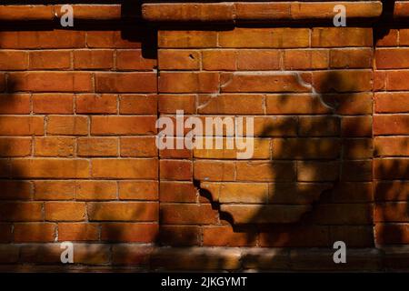 A brick wall with shadows of trees Stock Photo