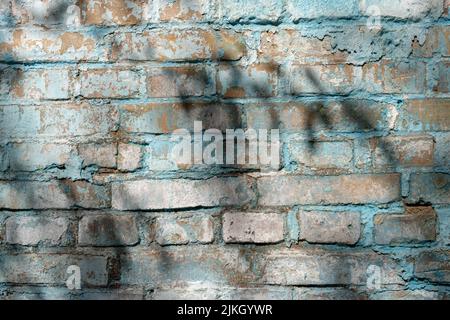 A brick wall with shadows of trees Stock Photo