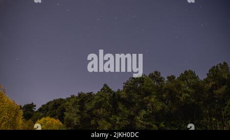A beautiful view of a starry sky over the forest with trees Stock Photo