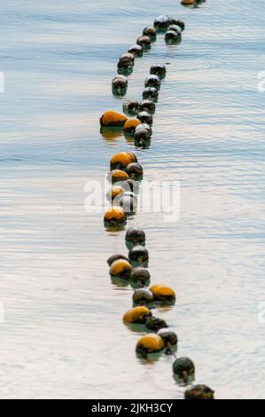 A vertical shot of morning buoys on the water near the beach Stock Photo