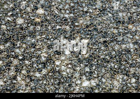 Section of flushwork flint wall Stock Photo