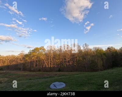 Green field in front of a forest in daytime Stock Photo