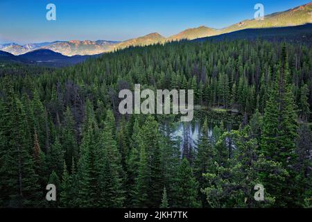 The Nymph Lake through pine trees in Rocky Mountain National Park, Colorado, the USA Stock Photo