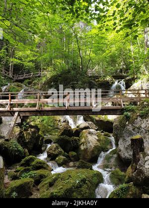 A vertical low angle shot of small wooden bridge over small stream flowing through moss-covered rocks Stock Photo