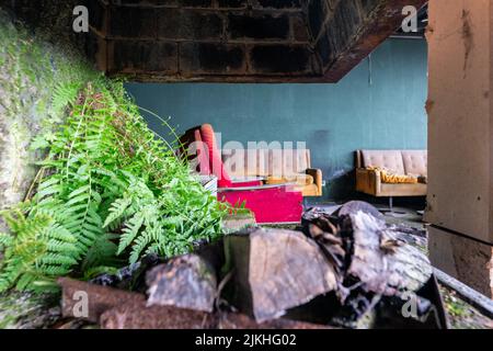 The old colorful sofas in an abandoned building next to fireplace and green plant Stock Photo