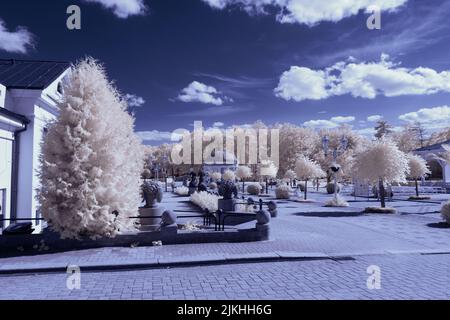 A landscape with snowy trees under sky with clouds Stock Photo - Alamy