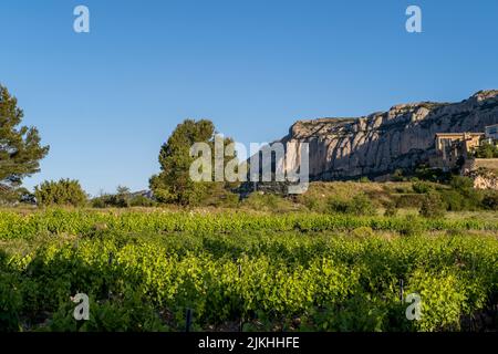 Vineyards during sunrise in Morera de Montsant in the Montsant appellation of origin wine region in the province of Tarragona in Spain Stock Photo