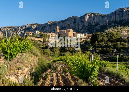 Vineyards during sunrise in Morera de Montsant in the Montsant appellation of origin wine region in the province of Tarragona in Spain Stock Photo