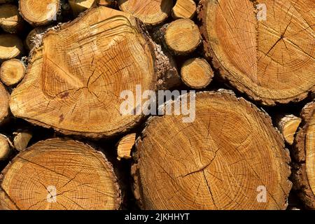 Stacked firewood from larch trees with different diameters of the branches and the tree trunks, Valais, Switzerland. Stock Photo