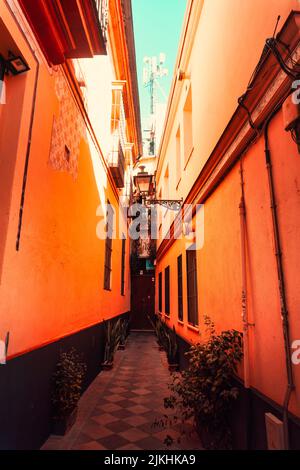 A vertical shot of a narrow alley in Barrio Santa Cruz, Seville, Andalusia, Spain Stock Photo