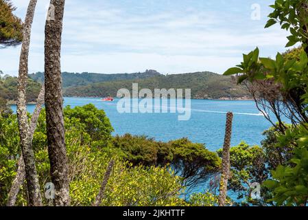 Ferry from Auckland approaching at Great Barrier Island, New Zealand Stock Photo