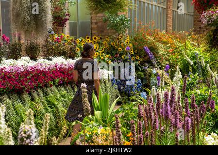 Beautiful flowers at the Domain Wintergardens in Auckland, New Zealand Stock Photo