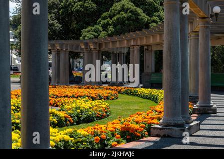 Colonnad Plaza in downtown Napier, North Island of New Zealand Stock Photo