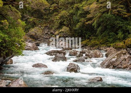 Mountainous Monkey creek flowing through impressive landscape next to Milford Sound highway, South Island of New Zealand Stock Photo