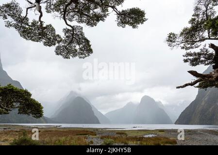 Magnificent panoramic view of Milford Sound during rainy weather, South Island of New Zealand Stock Photo