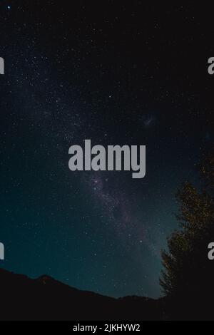 A vertical shot of the beautiful starry sky with the Milky Way above ...