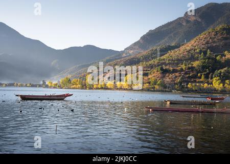 A bunch of boats on Lugu Lake in Yunnan,China Stock Photo