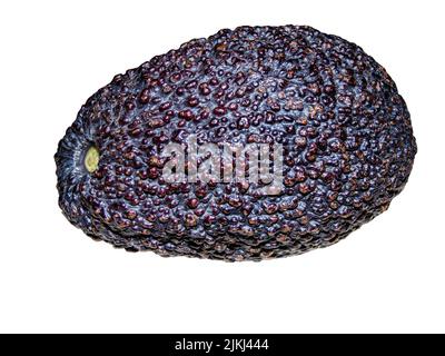 avocado isolated on white background Stock Photo