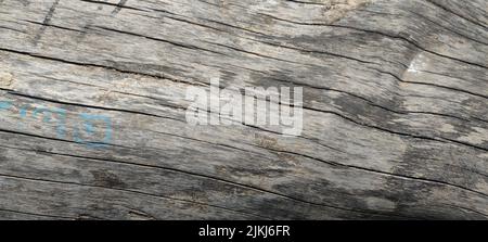A closeup shot of an old gray wooden texture background Stock Photo