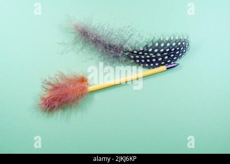 A pen with pink and black with white dots feathers on a blue background Stock Photo