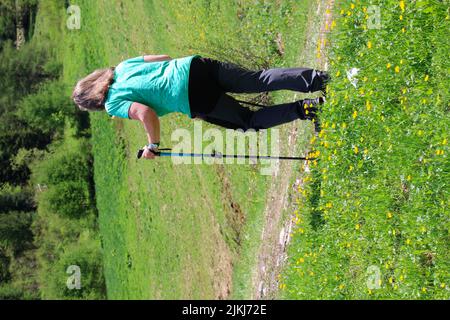 Middle-aged woman with hiking poles hiking in South Tyrol, Ahrntal, Klausberg, Italy, Stock Photo