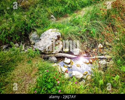 A small puddle in the meadow with stones and the Sun reflecting in the water Stock Photo