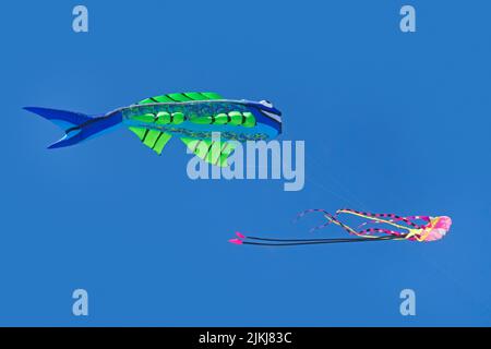 Big Fish kite in the blue sky and clouds Stock Photo - Alamy