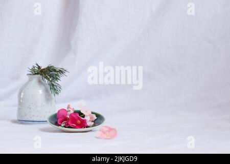 Composition of dainty periwinkle flowers in a bright white background showing fresh and tranquil Spring aesthetic Stock Photo