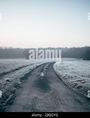 A vertical shot of a road in the middle of a snowy field surrounded with trees Stock Photo