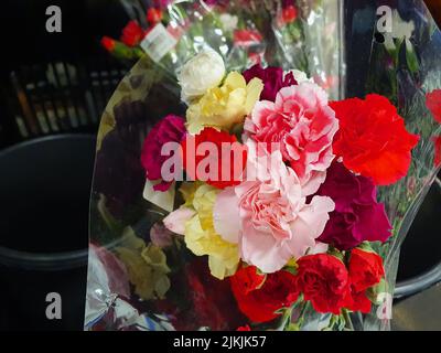 The close-up shot of a bouquet of multi colored carnations in a shop Stock Photo