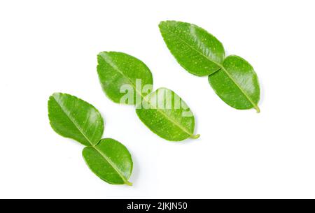 Top view of fresh lime leaves on white background Stock Photo