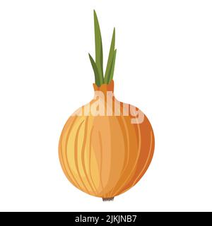 Bitter golden onion isolated on white background. Summer farm design elements. Natural fresh bright bunch of onion. Template vector illustration for Stock Vector