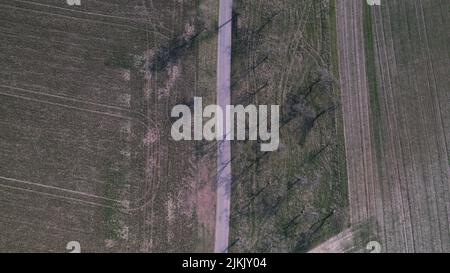 An aerial view of the road passing through fields with trees in Bavaria, Germany Stock Photo