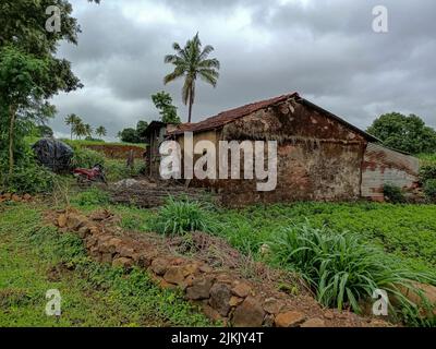 Stock photo of old, damaged red brick house with pyramid shape roof top in the middle of the beautiful farmland. small shelter mad up by roof sheet in Stock Photo