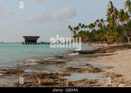 A sandy and muddy beach Bayahibe with palm trees in the Dominican Republic Stock Photo