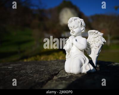 A closeup shot of a white praying angel sculpture on a black stone in the garden on a sunny day with a blurred background Stock Photo