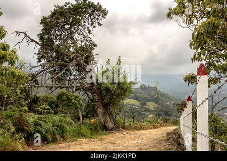 A beautiful shot of a walking trail in the Colombian Andes Mountains under a cloudy sky Stock Photo