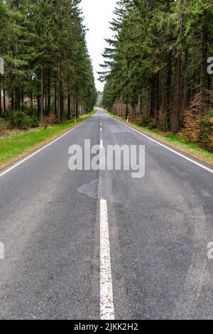 A vertical shot of an empty asphalt road between green pine trees Stock Photo