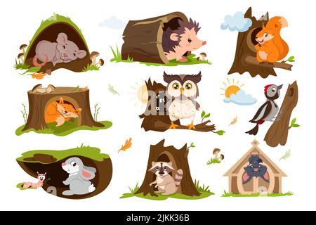 Set of forest animals sleep or hibernate in tree hole houses. Woodland burrows with cute fox, squirrel, owl, raccoon, hare and hedgehog. Woodpecker on a branch with hollow flat vector illustration. Stock Vector