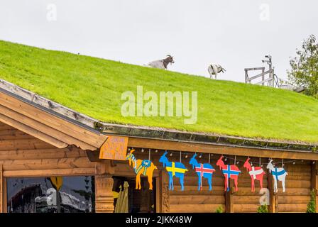 Goats on the roof of Al Johnson's Swedish Restaurant in Sister Bay in Door County Wisconsin USA Stock Photo