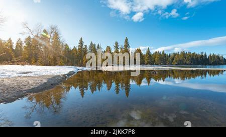 a panoramic shot of lake near forest Stock Photo