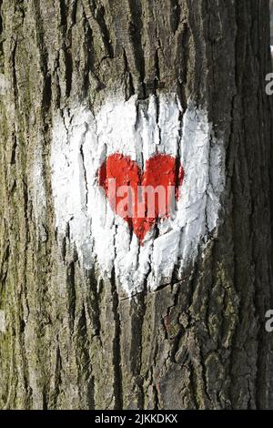 A vertical closeup of a red heart in a white circle painted on a tree trunk Stock Photo