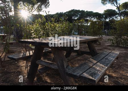 A beautiful shot of sun rays falling on a wooden picnic table from behind branches Stock Photo
